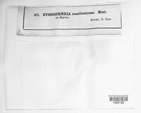 Image Associated With the Occurence